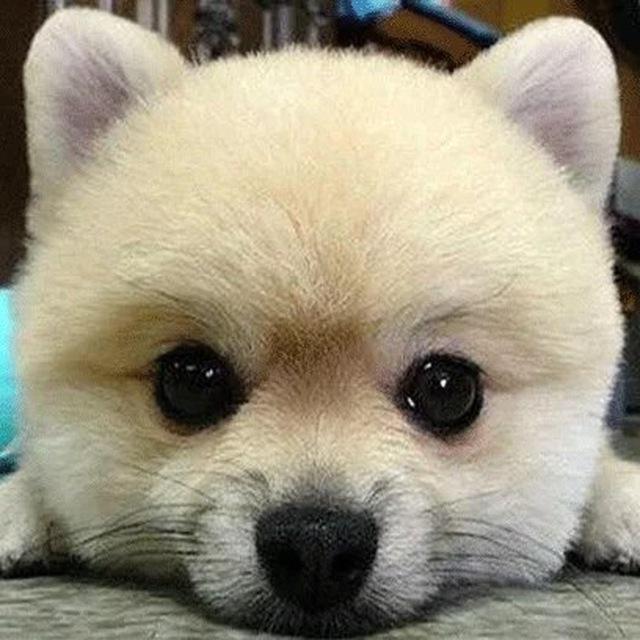 阿木童