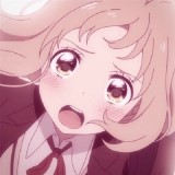 泰迪